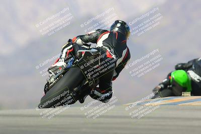 media/Jan-13-2024-SoCal Trackdays (Sat) [[9c032fe5aa]]/Turn 9 Backside (110pm)/